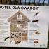 Pierwszy Dzień Wiosny- wycieczka do Siedziby Parku Krajobrazowego Dolina Słupi (galeria: 2)