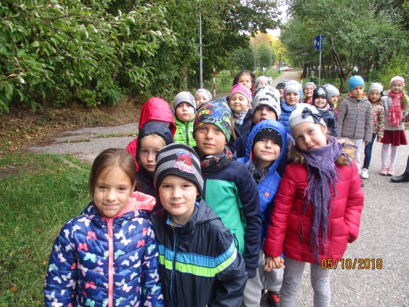 ,,Stokrotki''na jesiennym spacerze