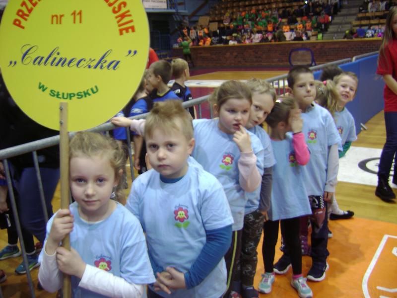 ,,Słoneczka''na Hali Gryfia