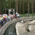 ,,Motylki''w Dolinie Charlotty (galeria: 7)