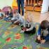 Dzień kota (galeria: 6)