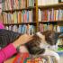 ,,Stokrotki''z wizytą w bibliotece (galeria: 20)