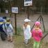 ,,Motylki''w Dolinie Charlotty (galeria: 19)