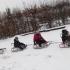 ,,Biedronki''i zimowa sanna. (galeria: 7)