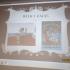 Motylki w bibliotece (galeria: 10)