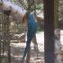 ,,Motylki'' w Dolinie Charlotty (galeria: 15)