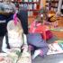 ,,Biedronki w bibliotece (galeria: 4)