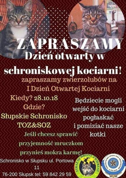 Wolontariat - zapraszamy 28.10.