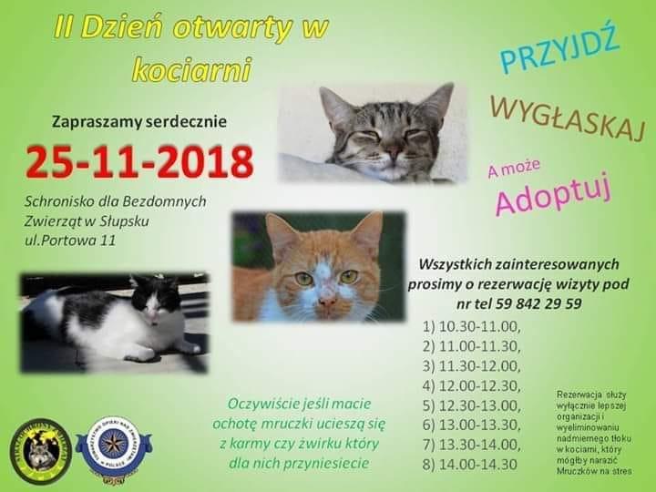 Pomagamy
