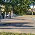 Piknik rodzinny w SP-6 (galeria: 13)