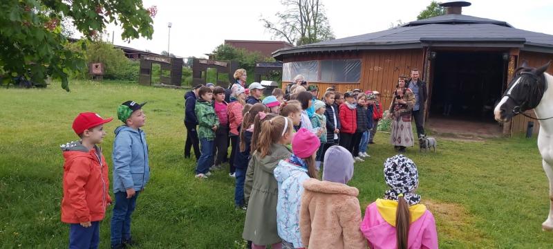 Uczniwie na wycieczce w Runowie, stoją na polanie oglądając konia